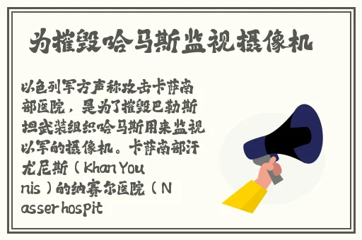 国产精品久久久久AV